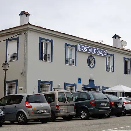 Drago Pueblo Nuevo de Guadiaro