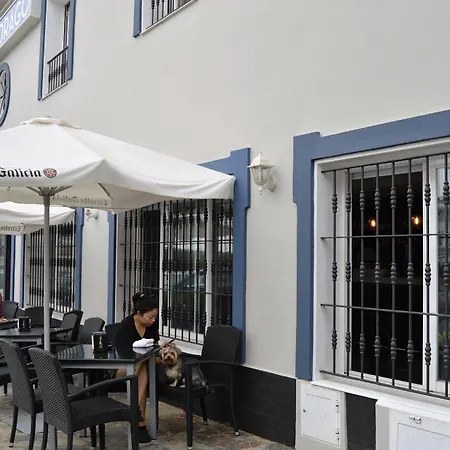 Drago Pueblo Nuevo de Guadiaro