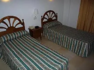 Drago Pueblo Nuevo de Guadiaro